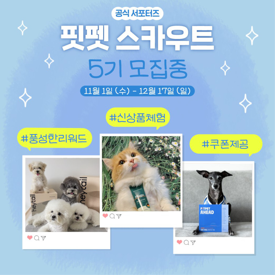 핏펫 공식 서포터즈 핏펫스카우트 5기 모집