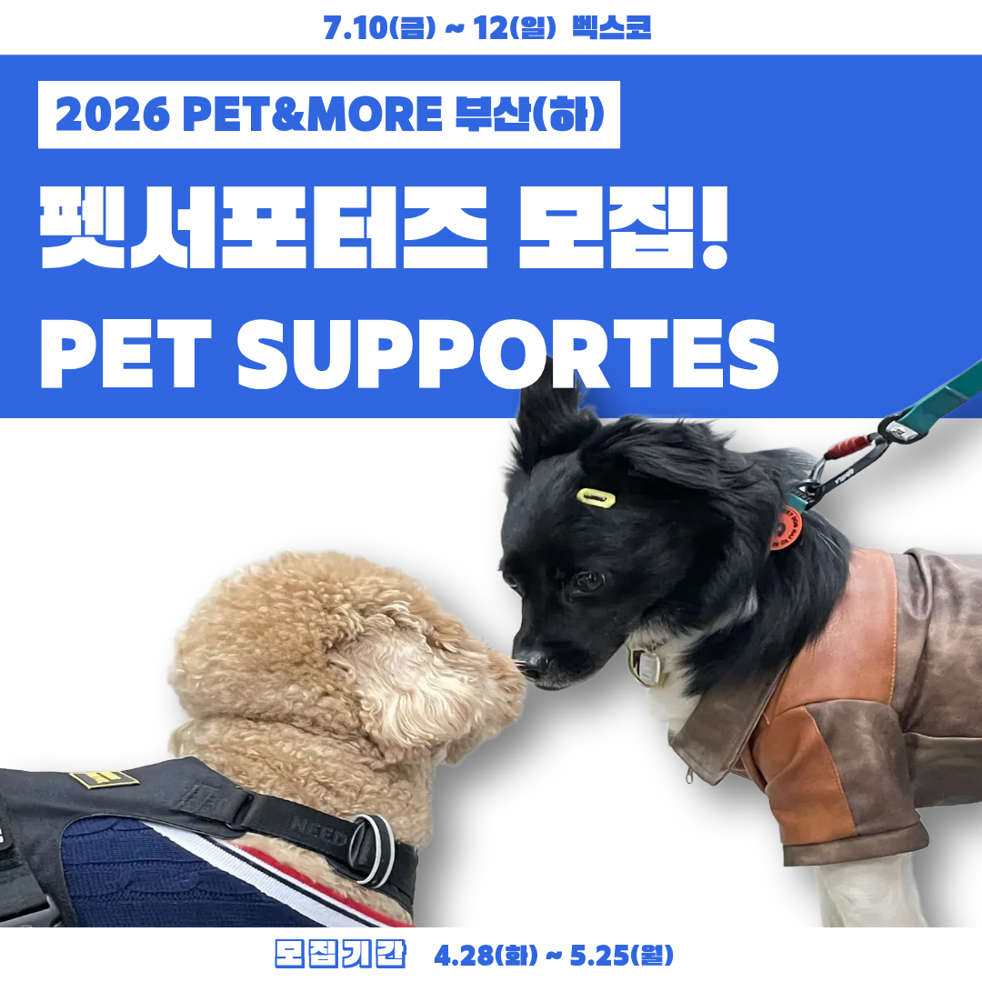 2026 PET&MORE 부산(하) 댕냥서폿단 모집