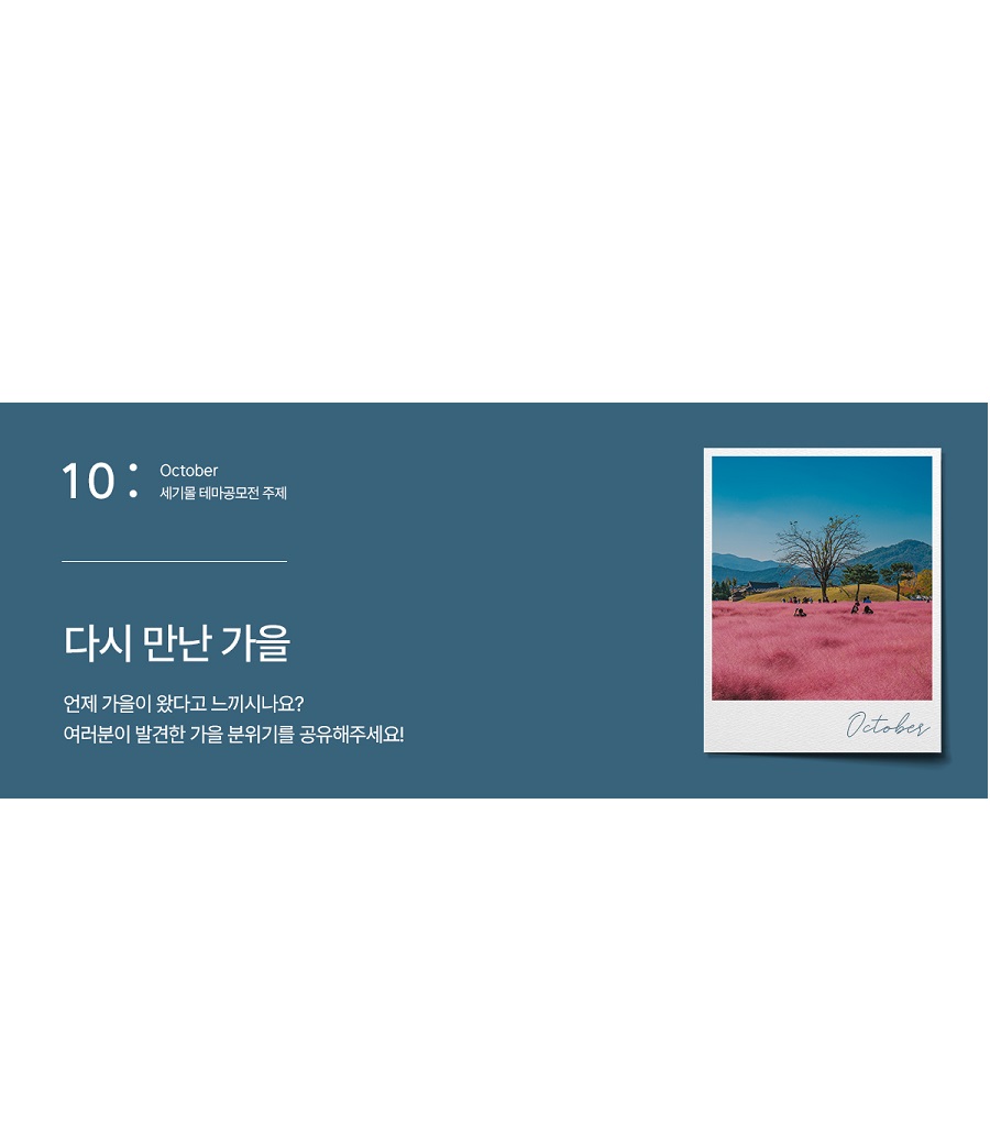 세기몰 10월 테마공모전 '다시 만난 가을'