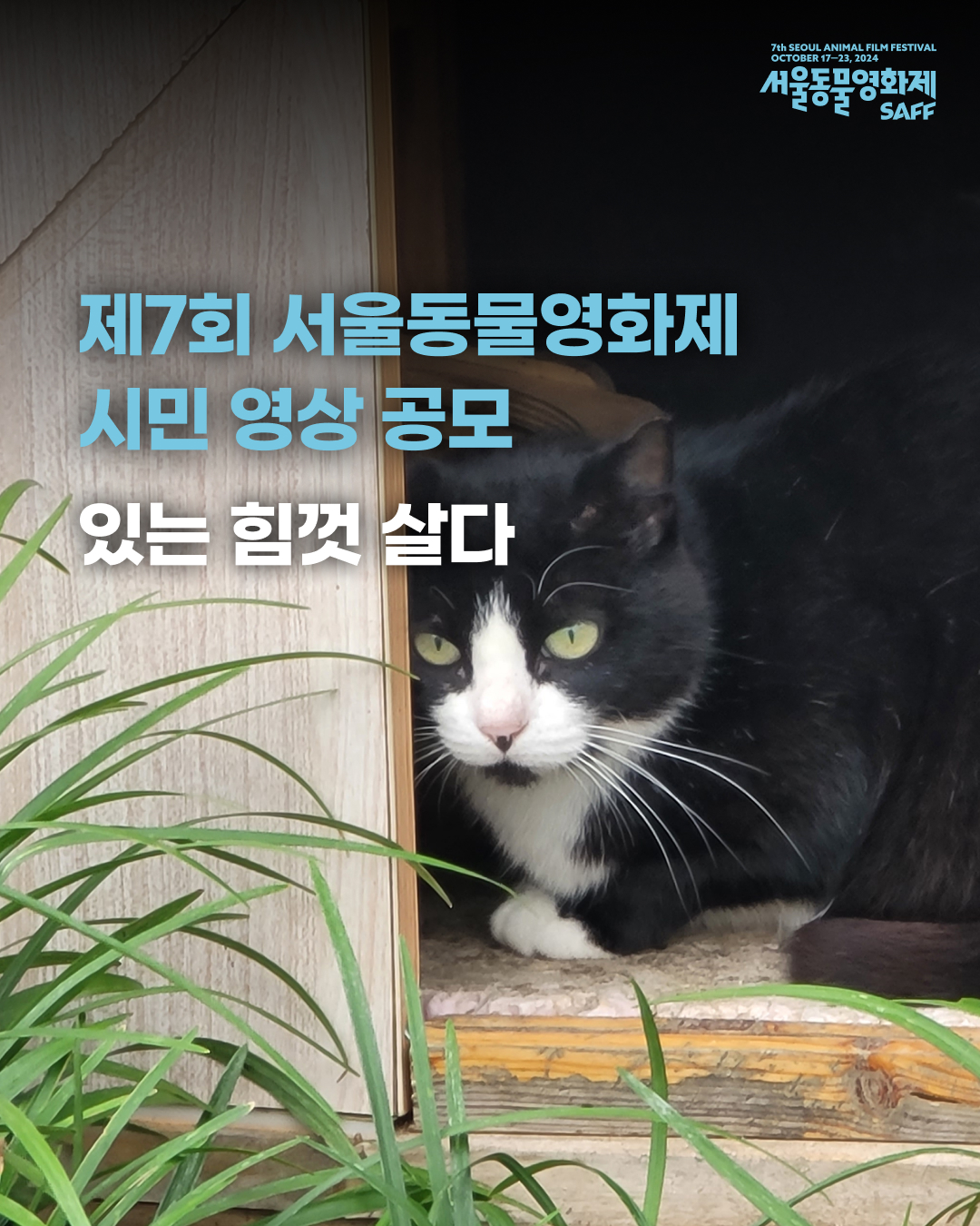 제7회 서울동물영화제 시민영상 공모