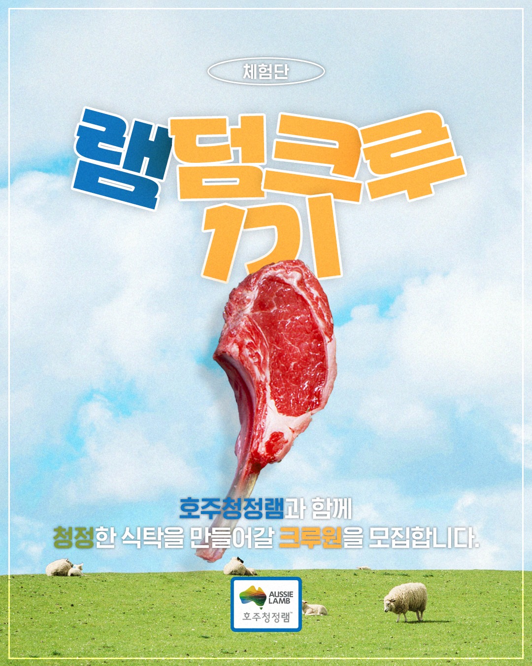 호주청정램 램덤크루 1기 모집