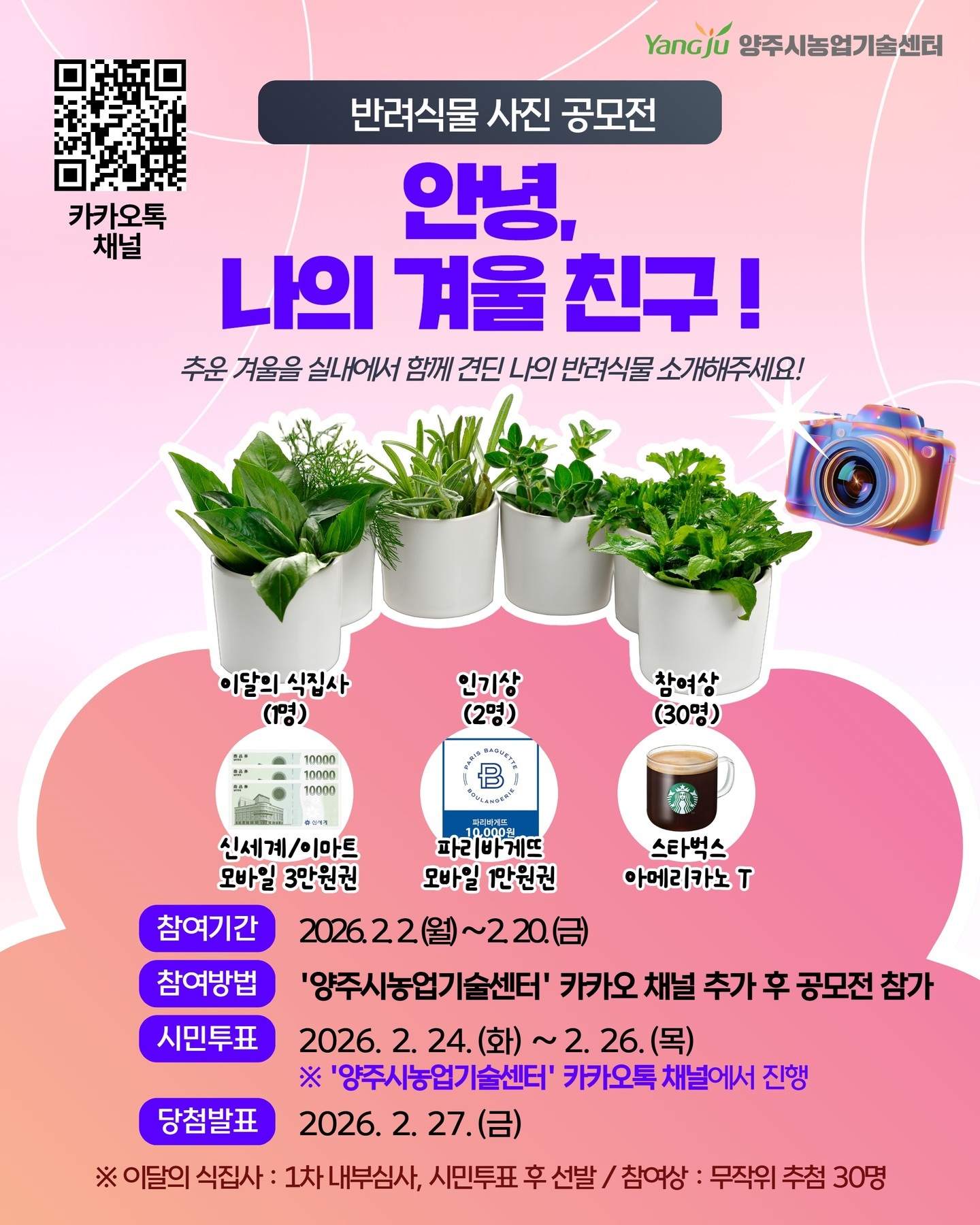  [반려식물 사진 공모전] "안녕, 나의 겨울 친구!"